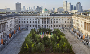 ::倫敦設計雙年展::《Forest for Change森林變革》 我們都將成為自然的創造者